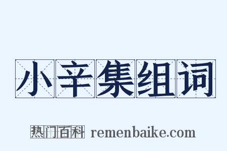 小辛集组词是什么意思的图片